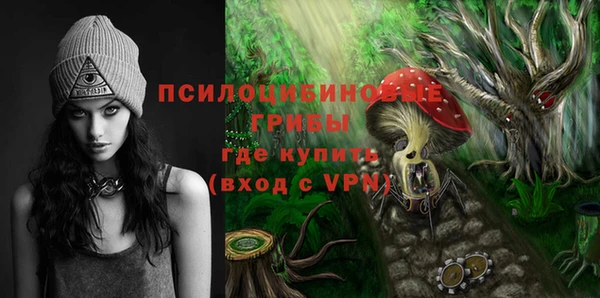 тгк Балахна