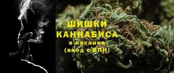 шишки Аркадак